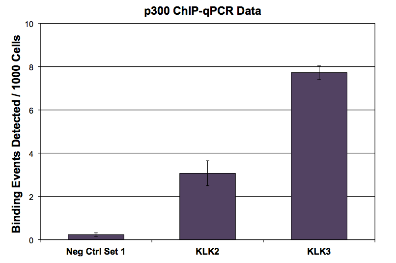 p300 antibody (mAb) tested by ChIP. ChIP was performed using the ChIP-IT High Sensitivity Kit (Cat. No. 53040) with chromatin from 4.5 million LNCaP cells and 4 ug of p300 antibody. ChIP DNA was used in qPCR with the negative control primer pair or gene-specific primer pairs as indicated. Data are presented as Binding Events Detected per 1000 Cells using Active Motif's Epigenetic Services normalization scheme which accounts for primer efficiency and the amount of chromatin used in the ChIP reaction.