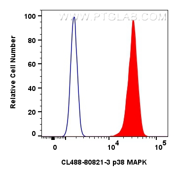 Flow cytometry (FC) experiment of HeLa cells using CoraLite® Plus 488-conjugated p38 MAPK Recombinant (CL488-80821-3)