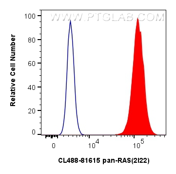 Flow cytometry (FC) experiment of HeLa cells using CoraLite® Plus 488-conjugated pan-RAS Recombinant  (CL488-81615)