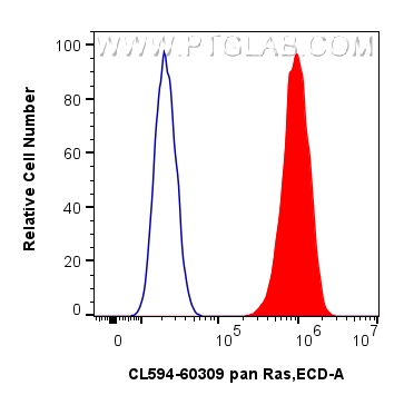 Flow cytometry (FC) experiment of HeLa cells using CoraLite®594-conjugated pan Ras Monoclonal antibod (CL594-60309)
