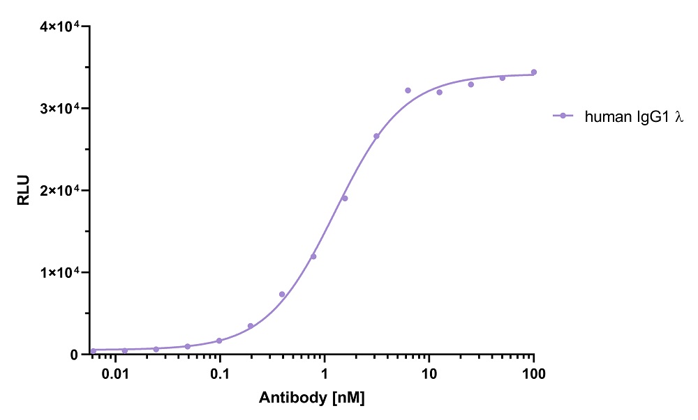 ELISA capture of human IgG1 lambda antibody using Nano-CaptureLigand human IgG/rabbit IgG, Fc-specific VHH, biotinylated. 50 nM Nano-CaptureLigand human IgG/rabbit IgG, Fc-specific VHH, biotinylated was used for coating on an avidin-coated MaxiSorp plate. Human IgG1 lambda antibody was titrated in a 1:2 dilution series and detected with an alkaline phosphatase-conjugated detection antibody.