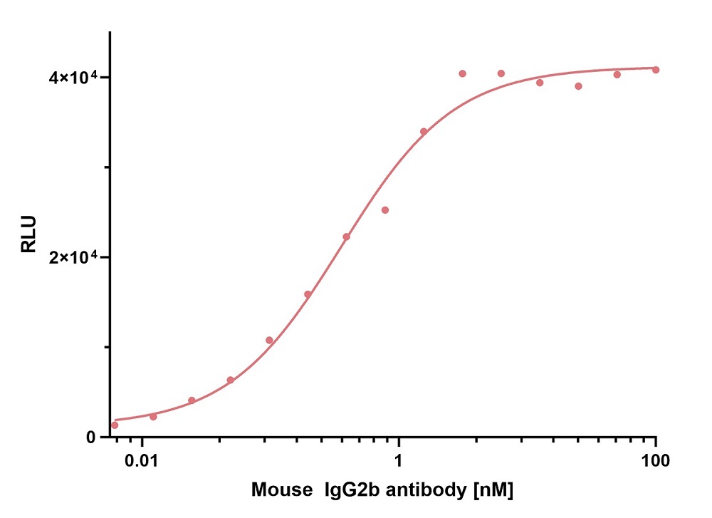 ELISA capture of mouse IgG2b antibody using Nano-CaptureLigand mouse IgG2b, Fc-specific VHH, biotinylated. 50 nM Nano-CaptureLigand mouse IgG2b, Fc-specific VHH, biotinylated was used for coating on an avidin-coated MaxiSorp plate. Mouse IgG2b antibody was titrated in a 1:2 dilution series and detected with an alkaline phosphatase-conjugated detection antibody.