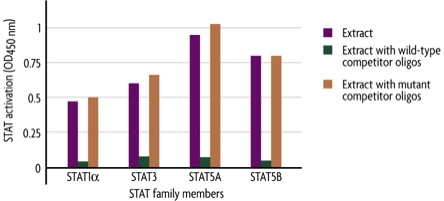 Monitoring STAT Family member activation