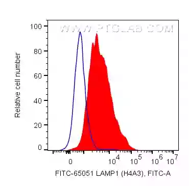 CD107a / LAMP1 antibody (FITC-65051) | Proteintech