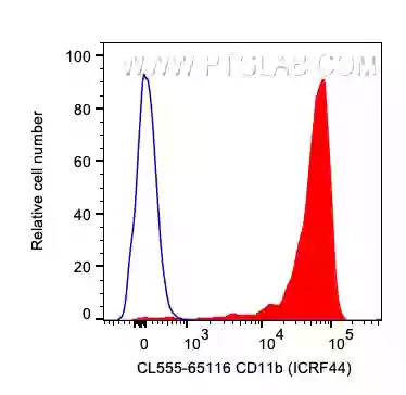 CD11b antibody (CL555-65116) | Proteintech