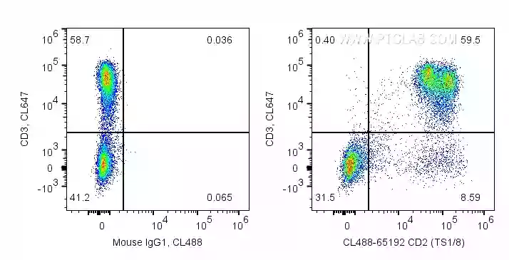 CD2 antibody (CL488-65192) | Proteintech