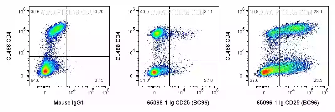 CD25 antibody (65096-1-Ig) | Proteintech