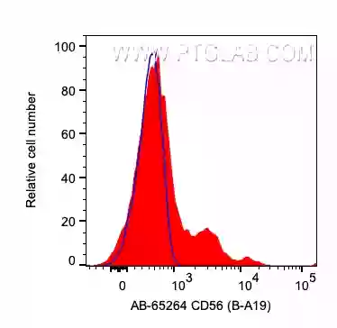 CD56 antibody (AB-65264) | Proteintech