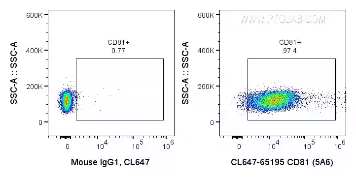 CD81 antibody (CL647-65195) | Proteintech