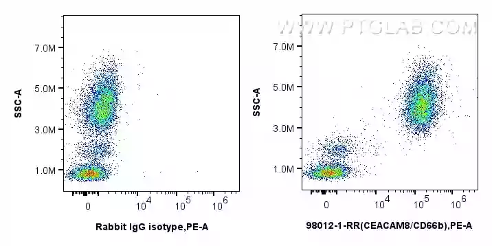 Flow cytometry experiment of human peripheral blood leukocytes using Anti-Human CEACAM8/CD66b Rabbit Recombinant Antibody