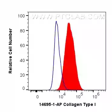 Collagen Type I antibody (14695-1-AP) | Proteintech