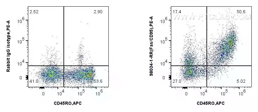 Flow cytometry experiment of human peripheral blood leukocytes using Anti-Human Fas/CD95 Rabbit Recombinant Antibody