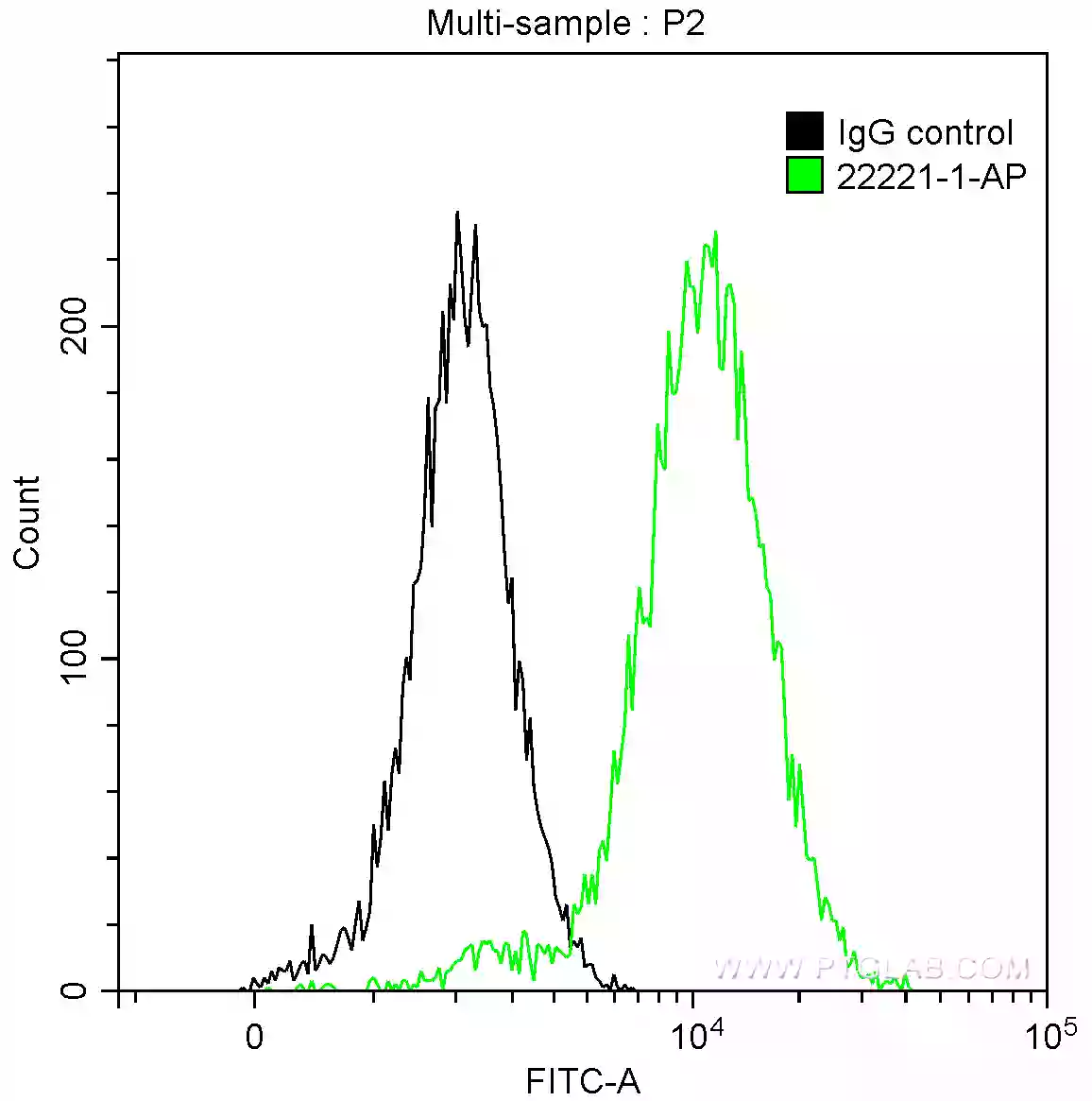 Cytokeratin 14 antibody (22221-1-AP) | Proteintech