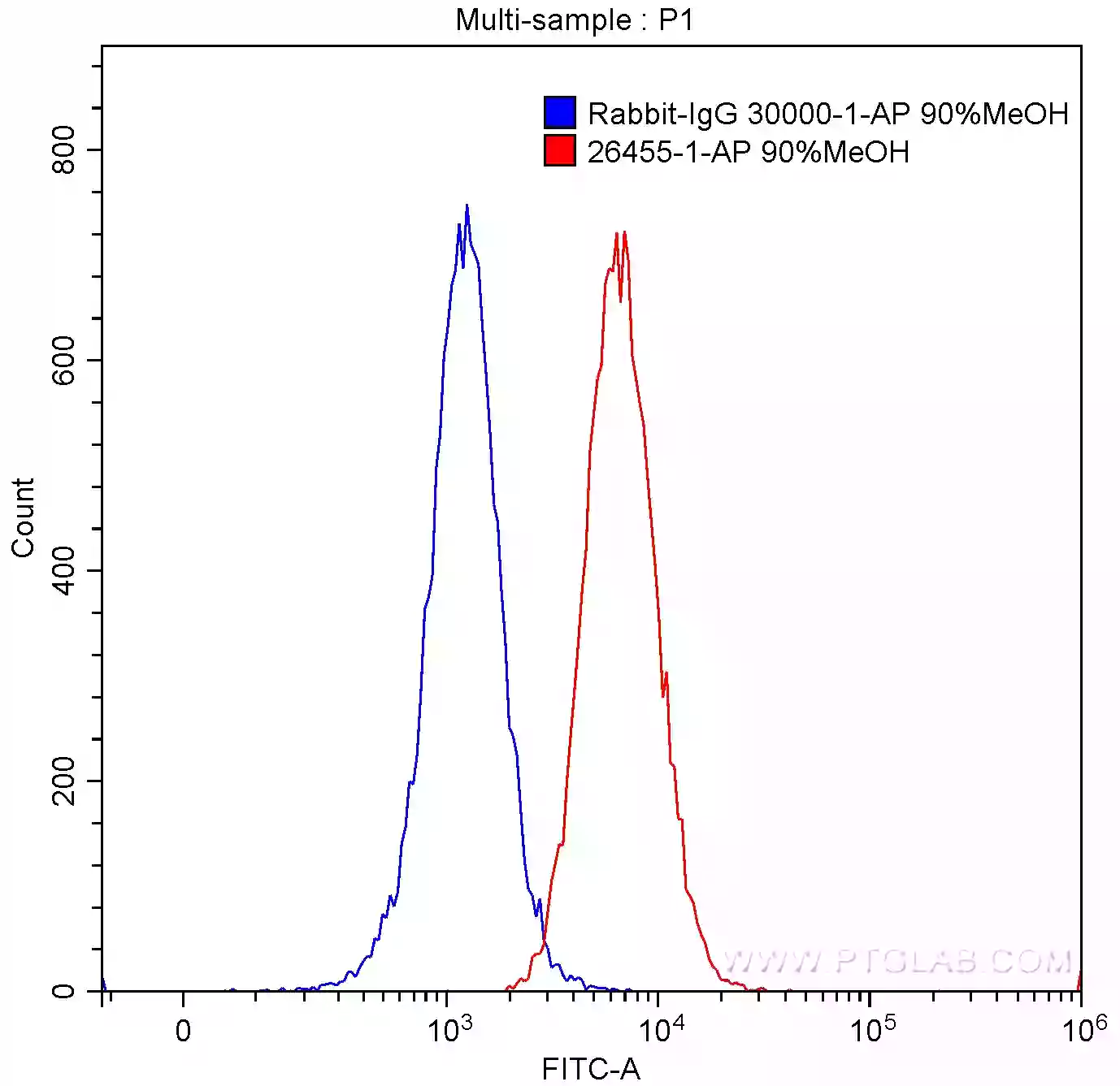 LILRB1 antibody (26455-1-AP) | Proteintech