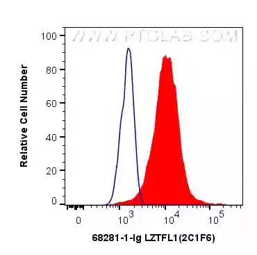 LZTFL1 antibody (68281-1-Ig) | Proteintech