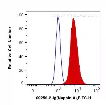 Napsin A antibody (60259-2-Ig) | Proteintech