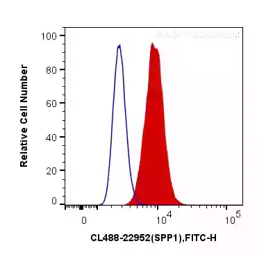 Osteopontin antibody (CL488-22952) | Proteintech