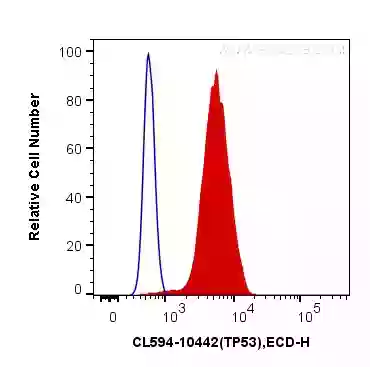 P53 antibody (CL594-10442) | Proteintech