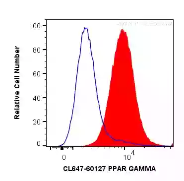 PPAR Gamma antibody (CL647-60127) | Proteintech
