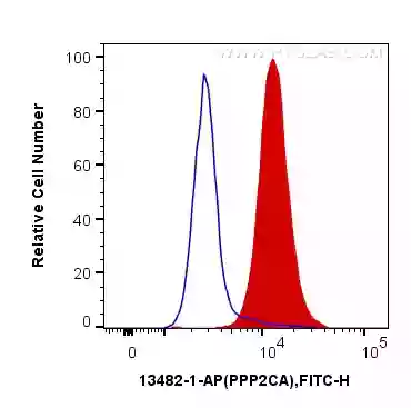 PPP2CA antibody (13482-1-AP) | Proteintech