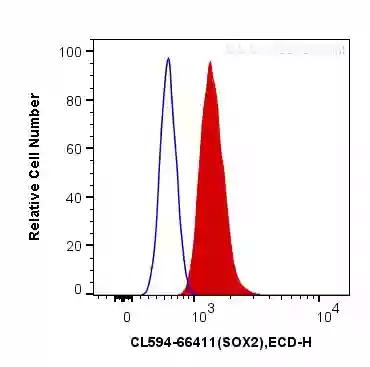 SOX2 antibody (CL594-66411) | Proteintech