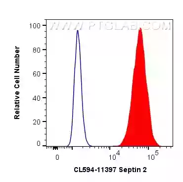 Septin 2 antibody (CL594-11397) | Proteintech