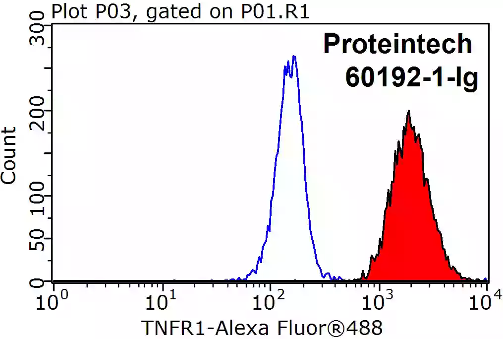 TNFR1 antibody (60192-1-Ig) | Proteintech