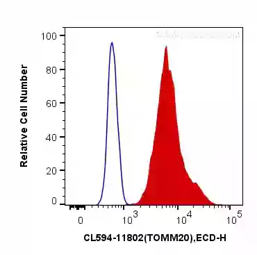 TOM20 antibody (CL594-11802) | Proteintech